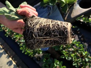 2016-09-08 09.35.59 HDR